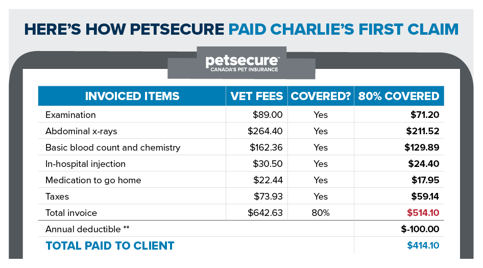This infographic outlines how Petsecure coverage pays out a claim.