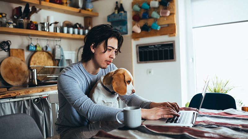 Man working on his laptop while his cat sits on his lap