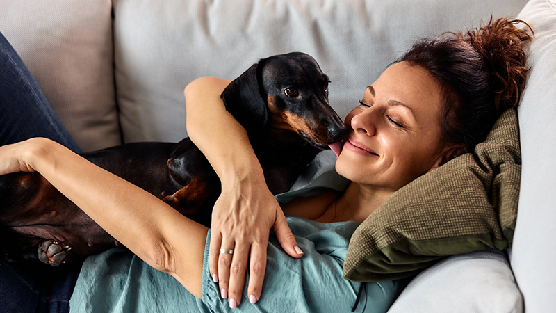Why pet health insurance is essential for pet owners