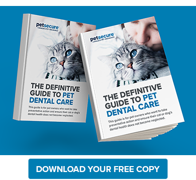 Download-Free-Dental-Guide-(1).png Download-Free-Dental-Guide-(1).png