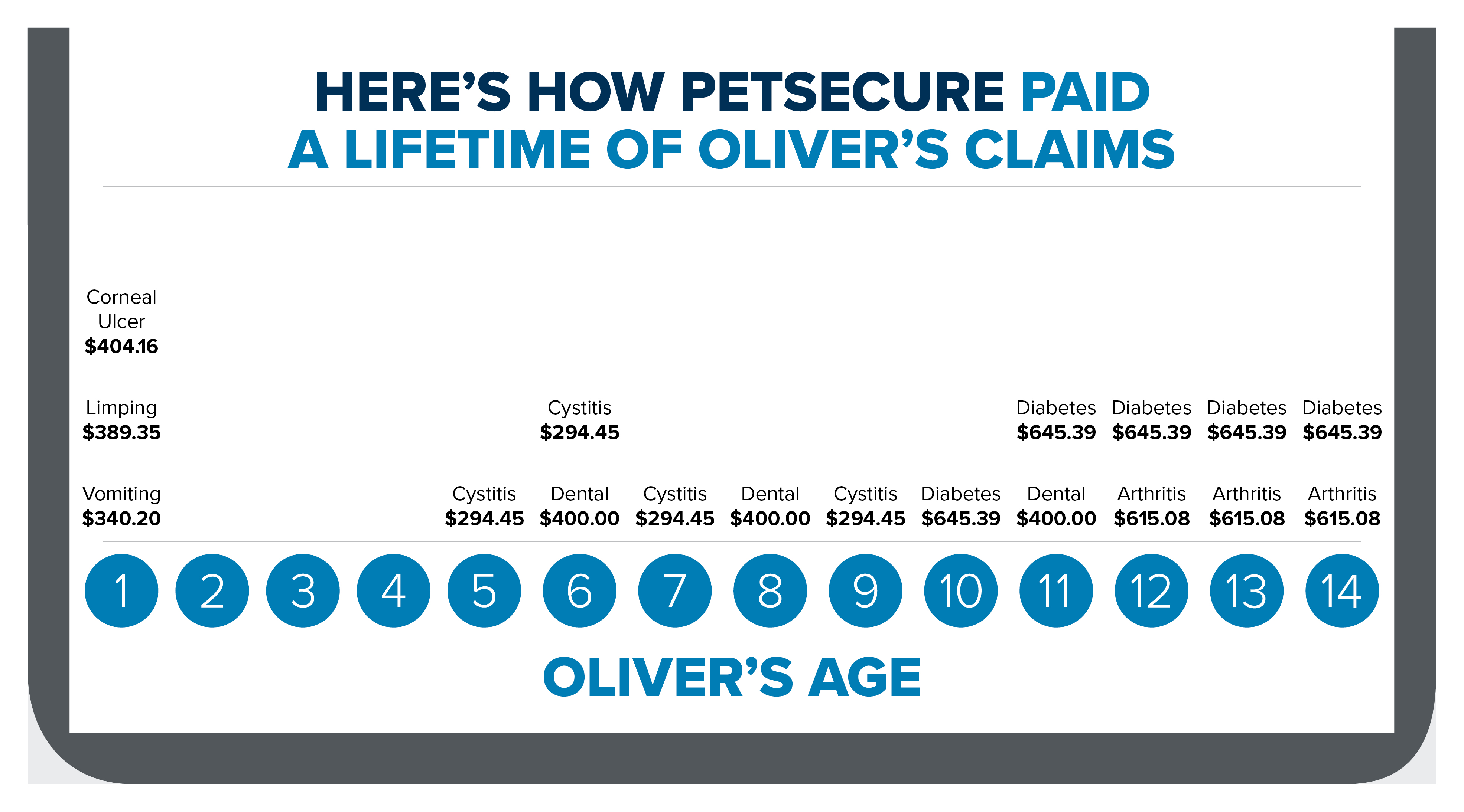 Infographic of cat claims over lifetime This infographic outlines how claims were paid over a cat's lifetime with Petsecure pet health insurance.