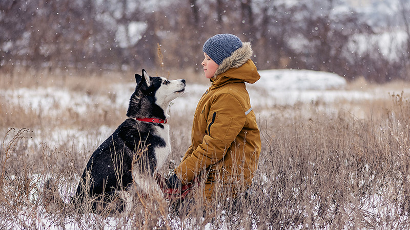 winter-dog-groom-2-(1).jpg