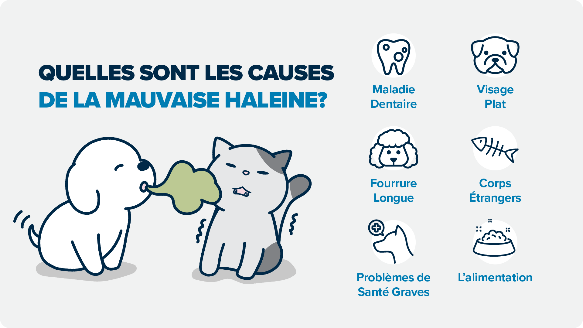 Mieux Comprendre La Mauvaise Haleine Chez Les Chats Et Les Chiens