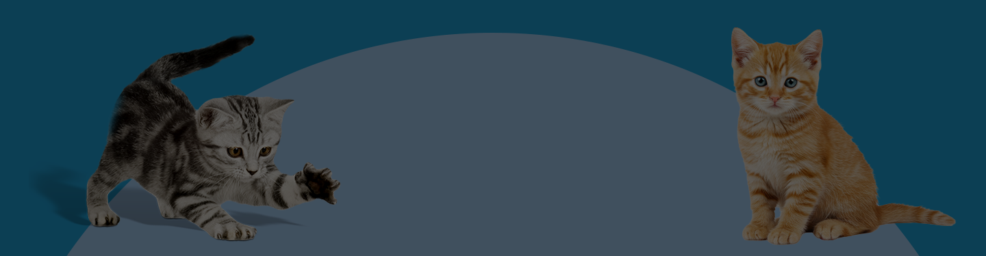 Petsecure plans & coverage