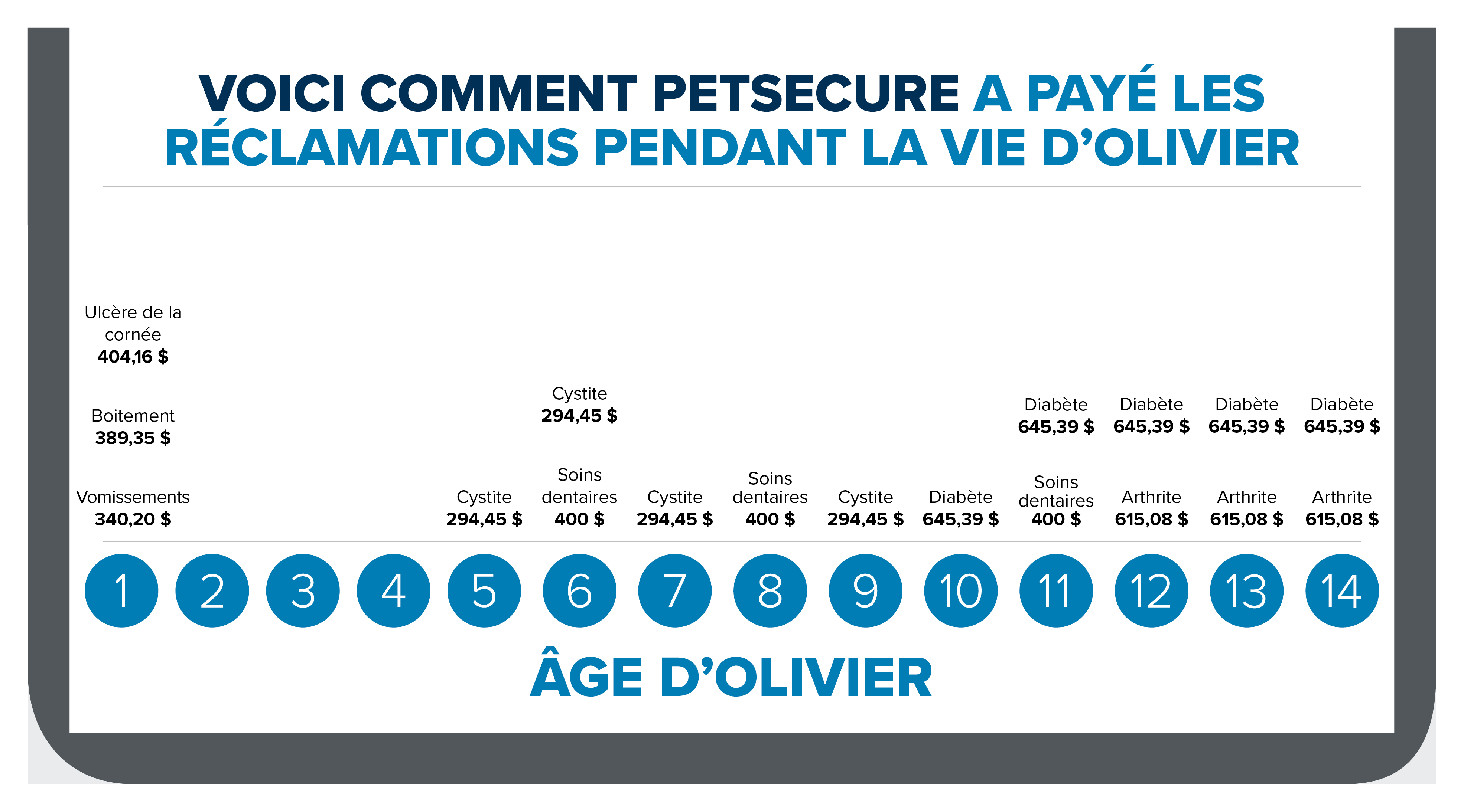 0262-Blog-Cat-Timeline-FR.jpg