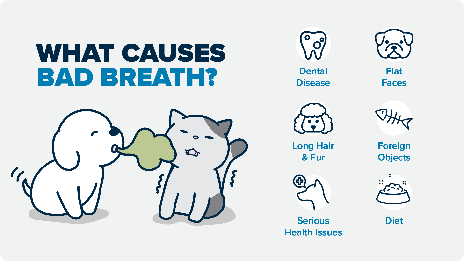 Infographic about bad breath in pets An infographic about bad breath in pets. 6 causes listed are: dental disease, flat faces, long fur, foreign objects, diet, and serious health issues.